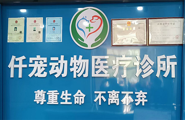 邢臺寵物醫院